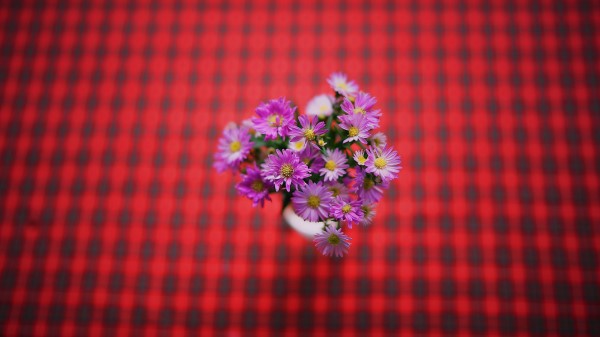 Flowers Bouquet Purple Wallpaper