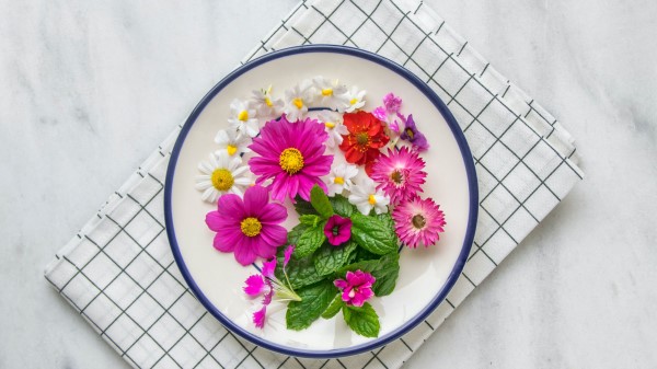 Flowers Chamomile Plate Wallpaper