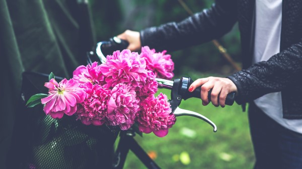 Flowers Peonies Bicycle Hand Wallpaper