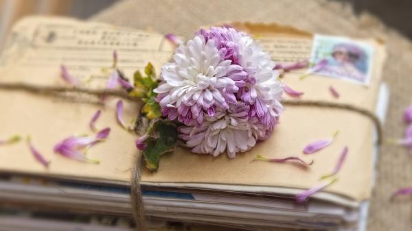 Letters Flowers Garter Wallpaper