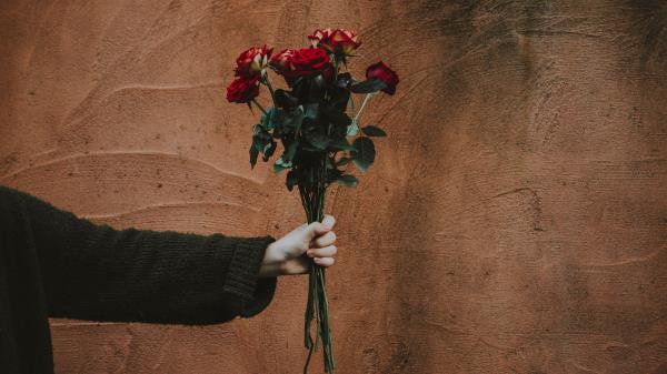 Roses Bouquet Hand Wallpaper