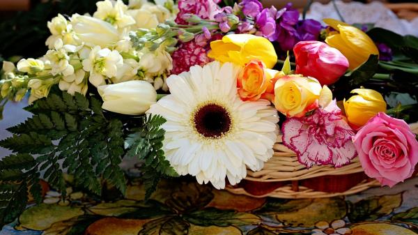 Roses Carnations Gerberas Tulips Flowers Arrangement Baske Wallpaper