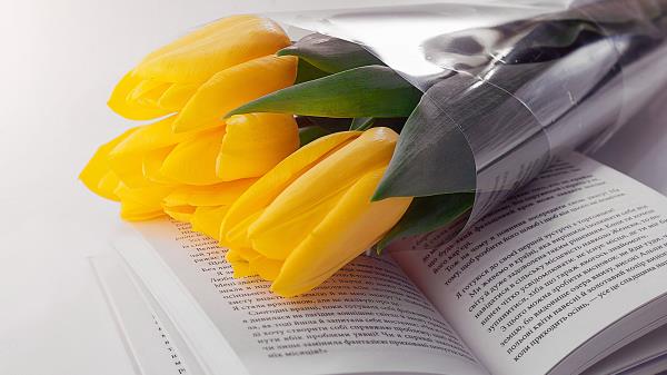 Tulips Book Flowers Bouquet Wallpaper