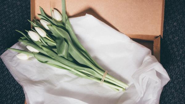 Tulips Bouquet Packing Wallpaper