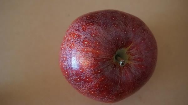 Apple Fruit Drop Close Up Wallpaper