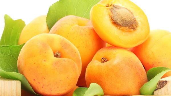 Apricot Fruit Stone Wallpaper