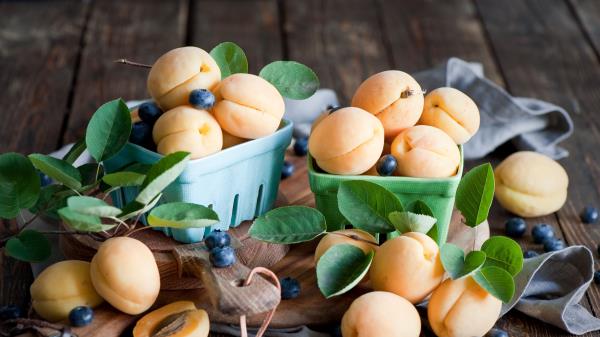 Apricots Blueberries Dishes Fruit Wallpaper