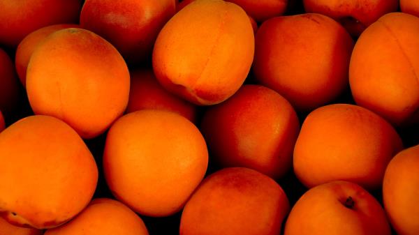 Apricots Fruit Ripe 2 Wallpaper