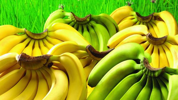 Banana Bunch Hands Wallpaper