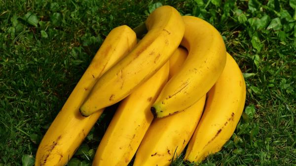 Bananas Fruit Ripe Grass Wallpaper