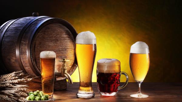Beer Keg Wine Glasses Kuhol Hops Barley Composition Wallpaper