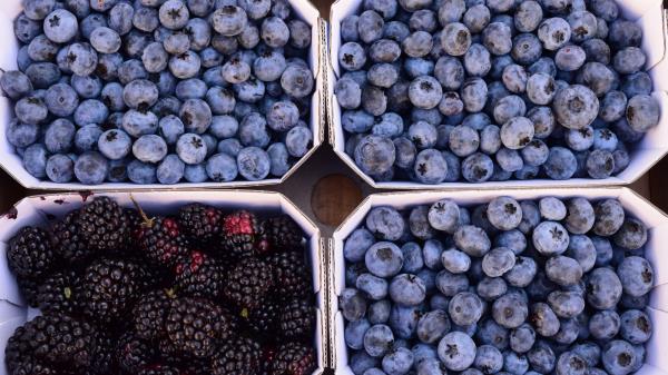Berries Blueberries Blackberries Wallpaper