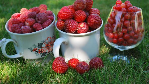 Berries Raspberries Currants Red Strawberry Summer Mugs Wallpaper