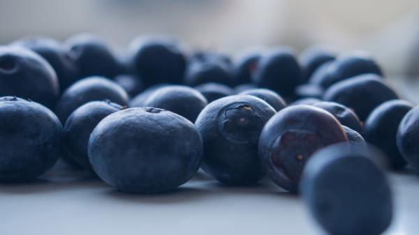 Blueberries Berries Close Up Blurred Wallpaper