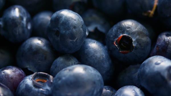 Blueberries Berries Close Up Wallpaper