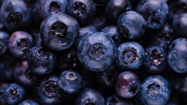 Blueberries Berries Ripe Image Wallpaper