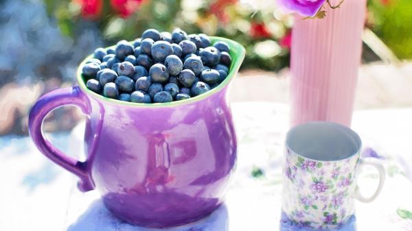 Blueberries Pitcher Cup Wallpaper