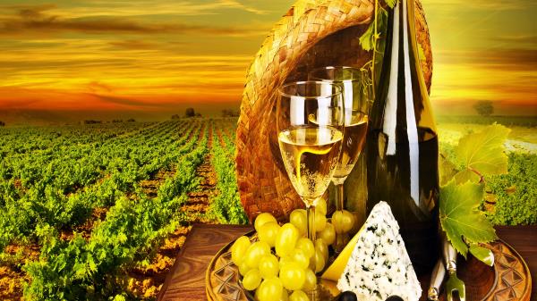 Bottle Wine Glasses Wine Cheese Composition Plantation Grape Wallpaper