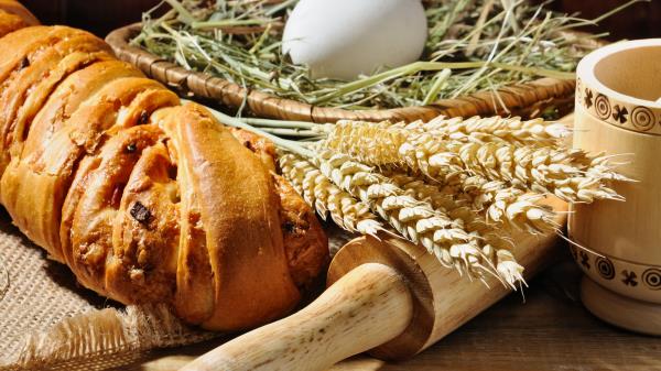 Bread Egg Ears Grass Wallpaper