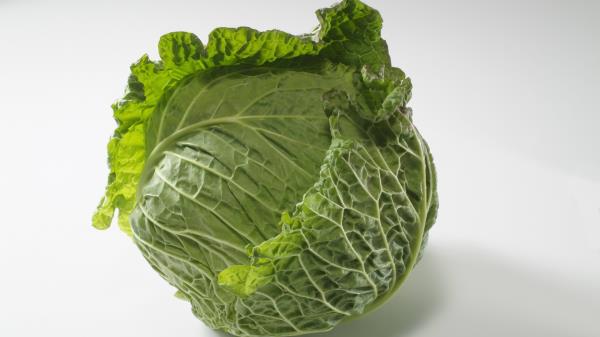 Cabbage White Background Rocker Wallpaper