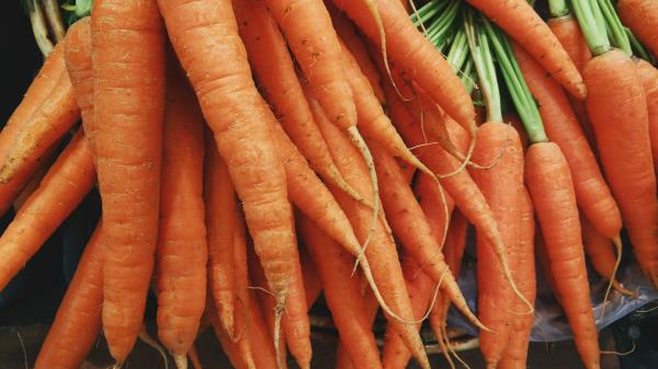 Carrots Vegetables Many Wallpaper