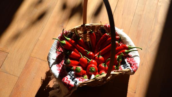 Chili Pepper Basket Shadow Wallpaper