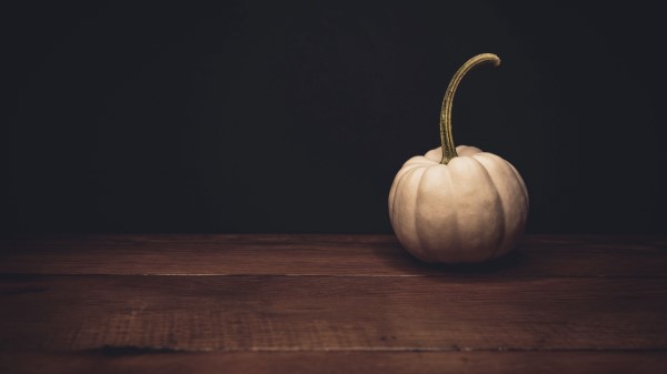 Pumpkin White Ripe Wallpaper