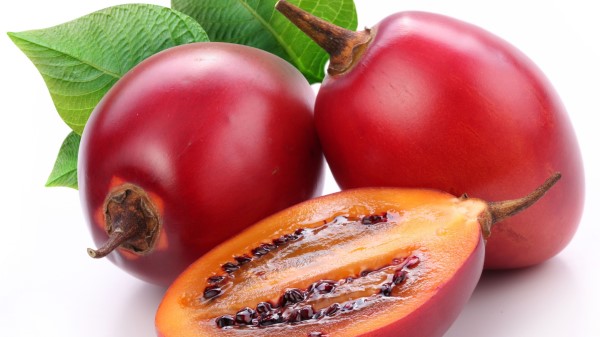 Rose Hips Berries Cut Wallpaper