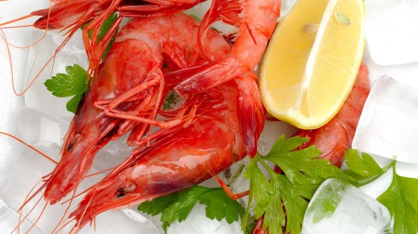 Shrimp Lemon Ready Tasty wallpaper