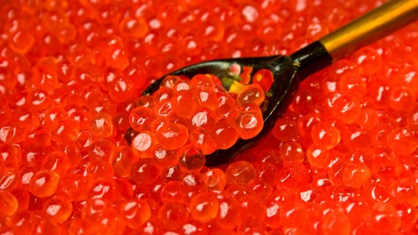 Spoon Caviar Red Macro Wallpaper