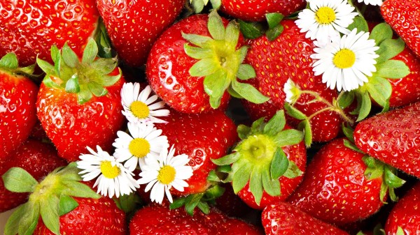 Strawberry Berry Chamomile Wallpaper