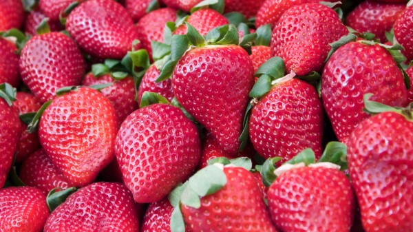 Strawberry Berry Juicy Ripe Wallpaper