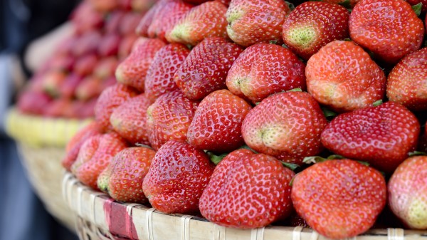 Strawberry Berry Ripe Basket Wallpaper