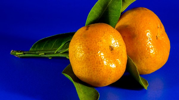 Tangerine Citrus Fruit Wallpaper
