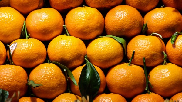Tangerine Citrus Fruit Vitamins Wallpaper