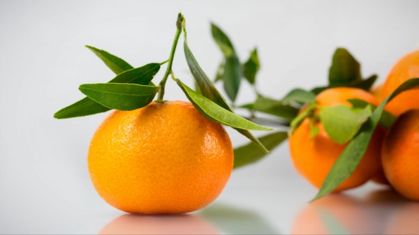 Tangerine Citrus Leaves Wallpaper