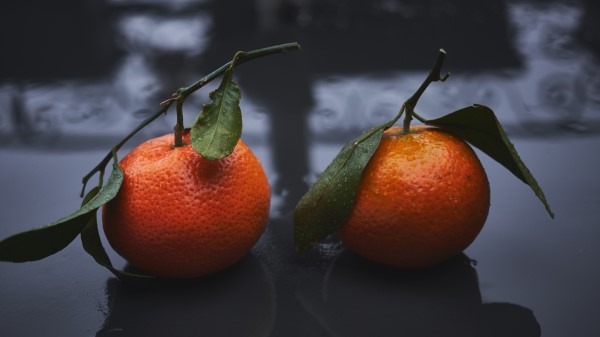 Tangerines Drops Fruit Citrus Wallpaper