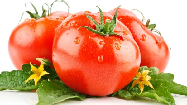 Tomatoes Drops White Background Leaves Flowers Tails Wallpaper