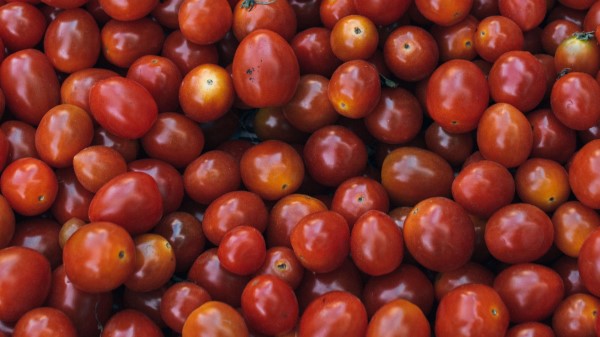Tomatoes Ripe Vegetables Wallpaper