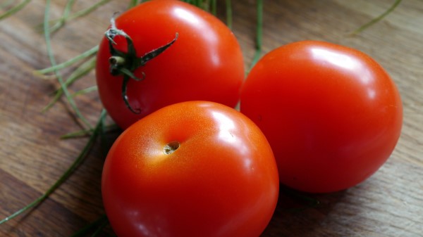Tomatoes Tomato Ripe Vegetable Wallpaper