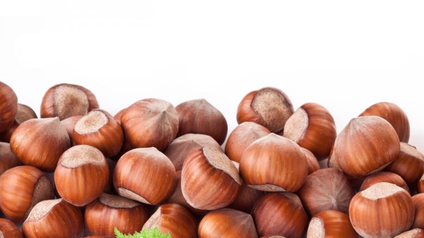 Walnut White Background A Lot Of Wallpaper