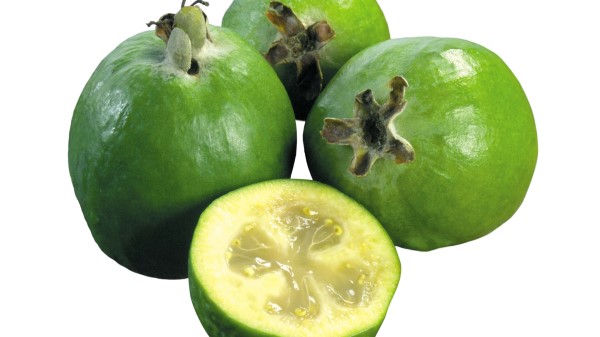 White Feijoa Cut Fruit Wallpaper
