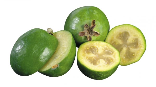 White Feijoa Cut Wallpaper