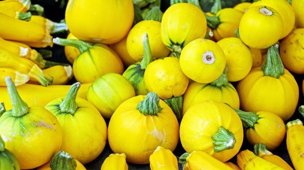 Zucchini Vegetable Many Wallpaper