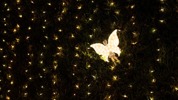 Angel Garland Light Wallpaper