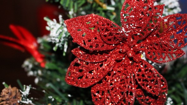 Ornament Christmas Ornaments Poinsettia Decoration wallpaper