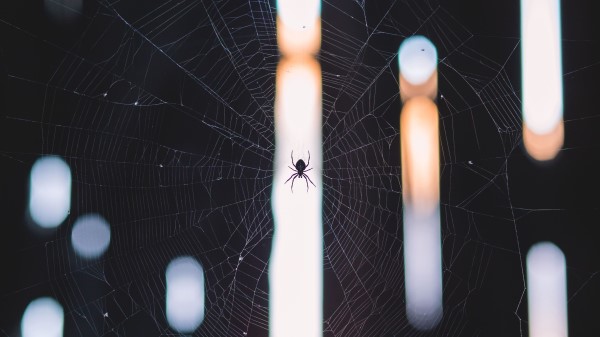 Spider Cobweb Weave Light Wallpaper