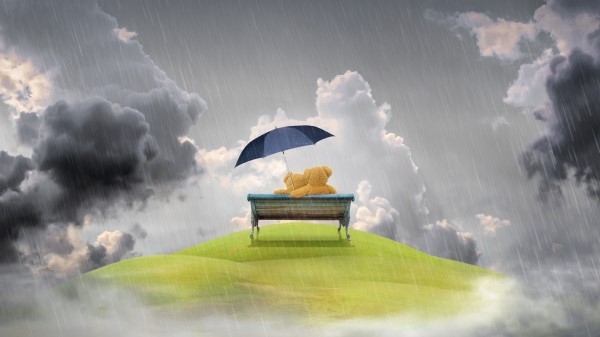 Bench Rain Teddy Bear Wallpaper