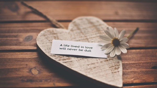 Feelings Love Romance Life Recognition Speech Daisy Hear Wallpaper