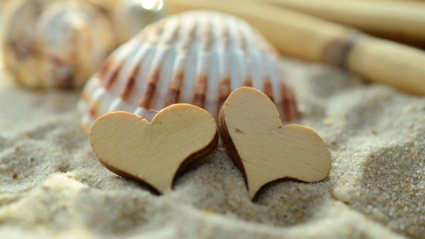 Heart Sand Shell Wallpaper